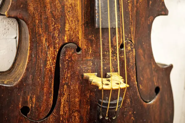 Eski akçaağaçtan yapılmış antika bir keman.