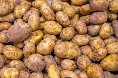 Süpermarkette bir kabın içinde genç beyaz patatesler.