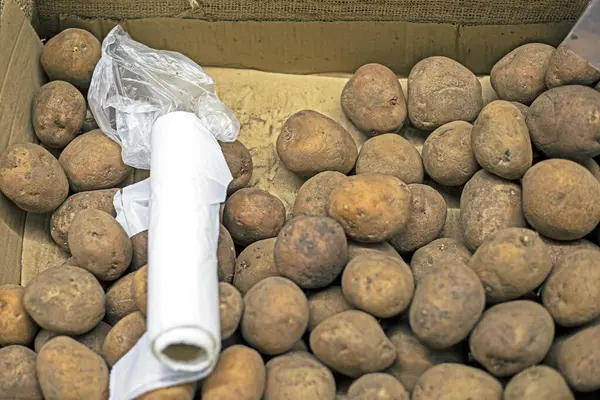 Süpermarkette içinde eko poşetler olan bir kabın içinde yaşlı patatesler.