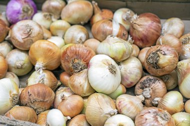 Markette bir konteynırda olgun pırasa başları
