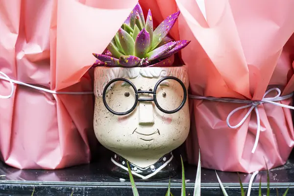 Dışarıdaki şık, komik tencerelerde sulu. satış ve adil