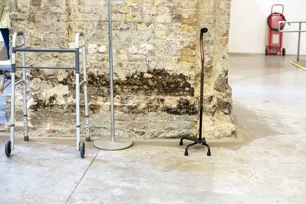 Festivalin girişinde hareket kabiliyeti kısıtlı kişiler için seferberlik olanakları ve sergi özgünlüğü