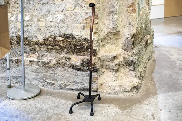 Festivalin girişinde hareket kabiliyeti kısıtlı kişiler için seferberlik olanakları ve sergi özgünlüğü