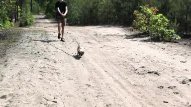 Uzun çıkıntılarda Jack Russell Terrier 'ı yanlış tanımışım. hatalar ve eğitim