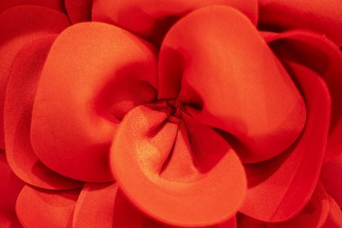 Kırmızı çiçek açan çiçeğin yakın plan görüntüsü