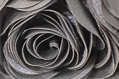 Siyah çiçek açan çiçeğin yakın plan arkaplanı