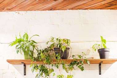 Bir kafede samimi bir iç mekan. Modern eko iç mimarisi