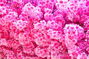 background of soft pink flowers. Decoration of holidays, opening of offices and other events