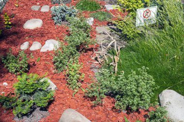 design of paths with red eco material in landscape design of plants
