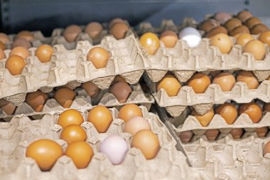 fresh farm chicken eggs in the supermarket. Economic crisis and default