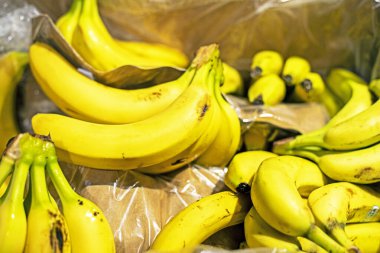ripe bunches of bananas in a cardboard container in a supermarket
