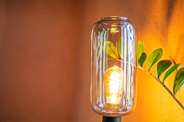 Enerji tasarrufu ampulü, evdeki bir çiçeğin yanında. Sıcak atmosfer