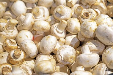 Süpermarketteki bir konteynırda taze şampiyonlar. Sebze proteini