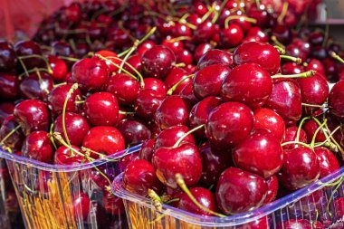 Olgun kırmızı kirazlar plastik kilogram kaplarda paketlenir.