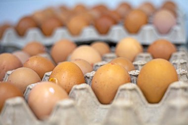 Karton bir kutuda kahverengi tavuk yumurtası. Ekonomik kriz