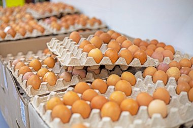 Karton bir kutuda kahverengi tavuk yumurtası. Ekonomik kriz