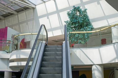 Canlı bitkilerin bulunduğu bir alışveriş merkezinde şık bir iç mekan.: