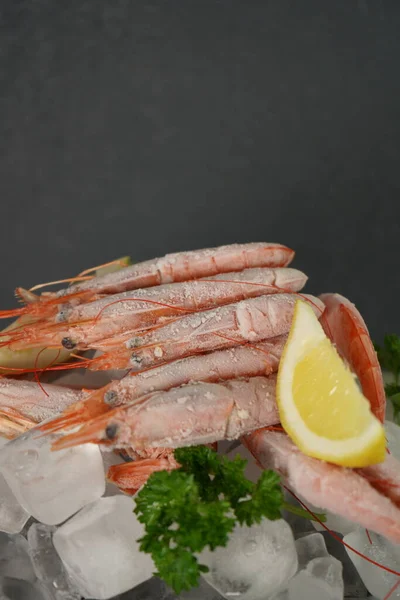 Boiled extra large frozen shrimp on ice cubes, pacific shellfish seafood