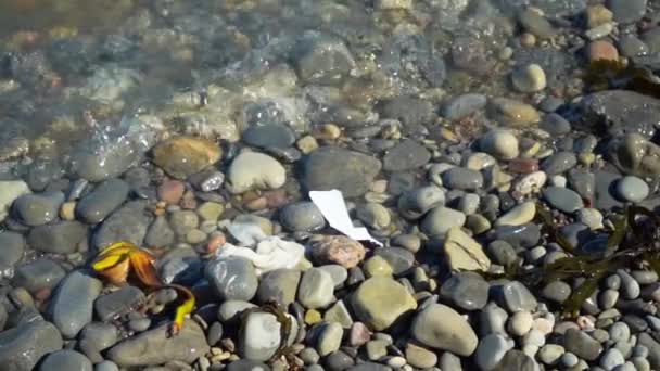 Video Polluted Beach Rubbish Dirty Water Seashore — Stock Video