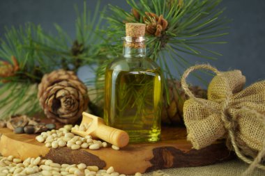 Composition of cosmetic and medical cedar oil in a glass jar. Nuts and cones art