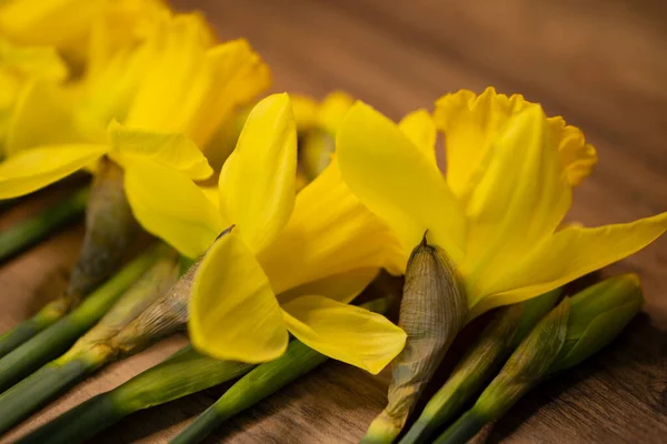 Bahar Parlak Sarı Konsept Narsist Çiçek Ahşap Masa Klasik Paskalya — Stok fotoğraf