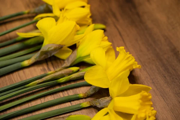 Bahar Parlak Sarı Konsept Narsist Çiçek Ahşap Masa Klasik Paskalya — Stok fotoğraf