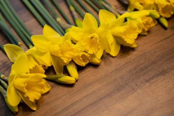 春天明亮的黄色概念水仙花在木桌上 古老的复活节 — 图库照片