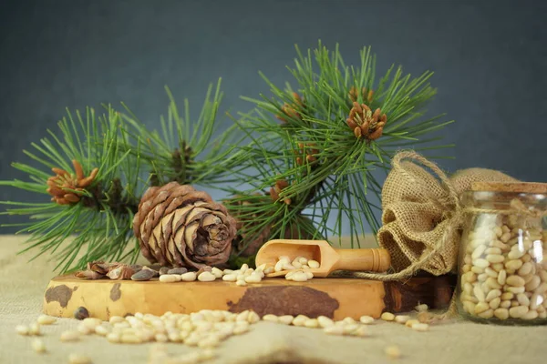 Composition of cosmetic and medical cedar oil in a glass jar. Nuts and cones art