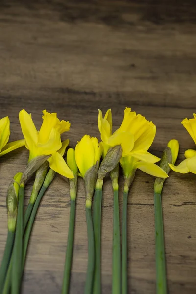 Весенний Ярко Желтый Цветок Нарцисса Деревянном Столе Винтажная Пасха — стоковое фото