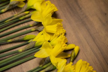 Bahar, parlak sarı konsept narsist çiçek ahşap masa, klasik Paskalya