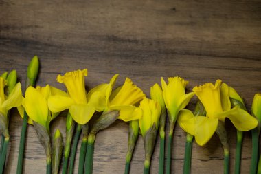 Bahar, parlak sarı konsept narsist çiçek ahşap masa, klasik Paskalya