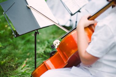 Açık havada klasik müzik konseri. Yüksek kalite fotoğraf