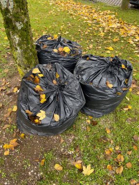 Sarı yapraklı üç çanta ve mobil fotoğraf. Yüksek kalite fotoğraf