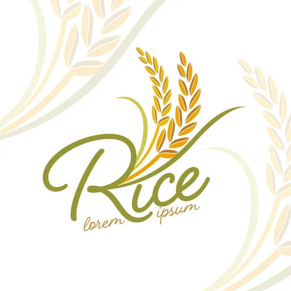 Paddy Rice Premium Organik Ürün Logo Taşıyıcı Tasarımı — Stok Vektör