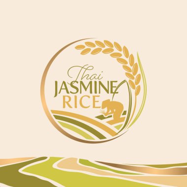 Paddy rice premium organik ürün logo taşıyıcı tasarımı