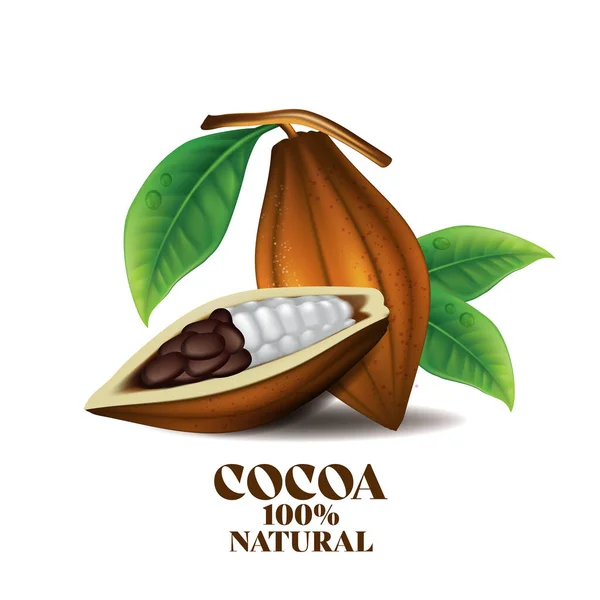 Elemento Diseño Del Vector Granos Cacao —  Fotos de Stock