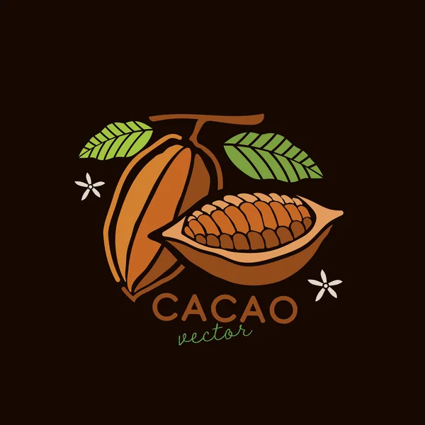 Ilustración Del Vector Cacao Dibujado Mano —  Fotos de Stock