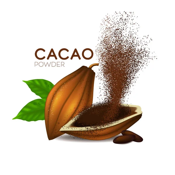 Alubias Cacao Realistas Con Ilustración Vectores Hojas Verdes —  Fotos de Stock