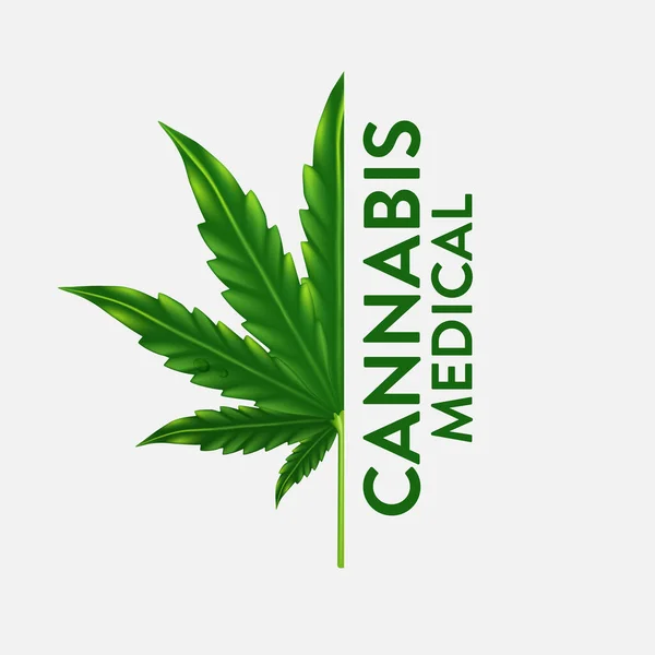Cannabis Leaf Logo Design Vector Illustration — Stock Photo, Image