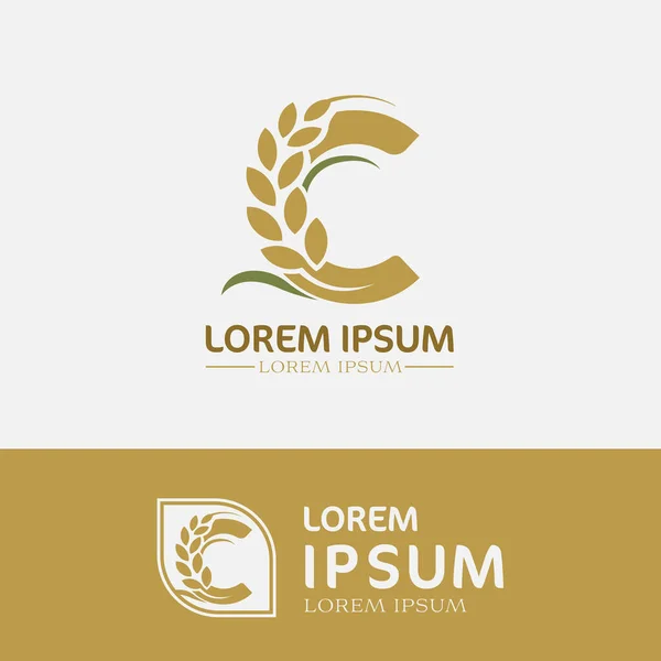 Buğday Logosu Tasarım Şablonu Tarımsal Buğday Vektör Illüstrasyonu — Stok fotoğraf
