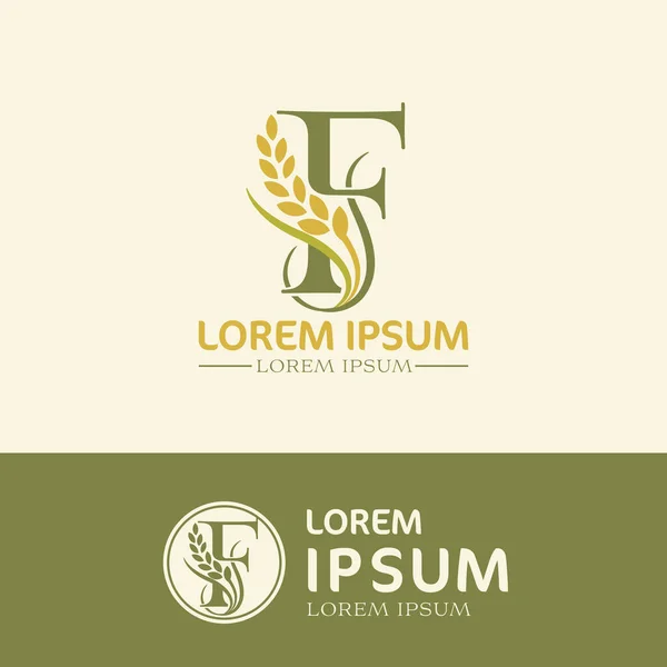 Wektor Logo Pszenicy Wzór Wektora Logo Rolnictwa — Zdjęcie stockowe