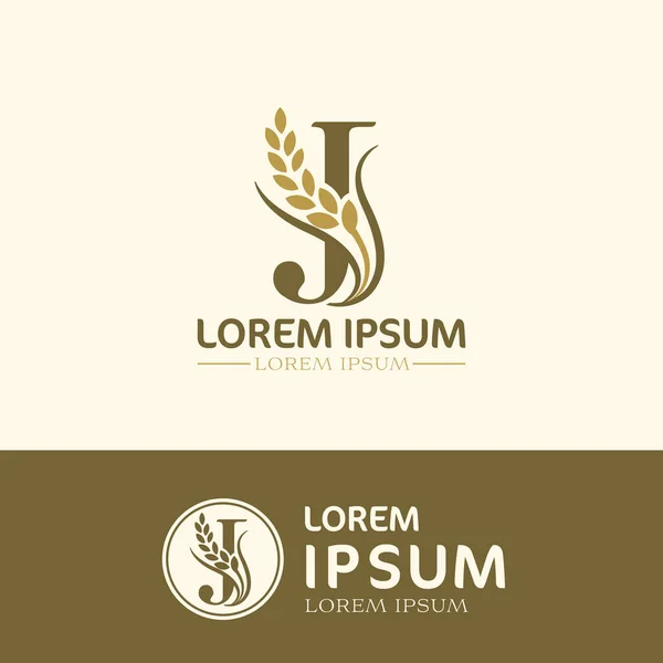 Kreativní Logo Vektorem Ikony Pšenice — Stock fotografie