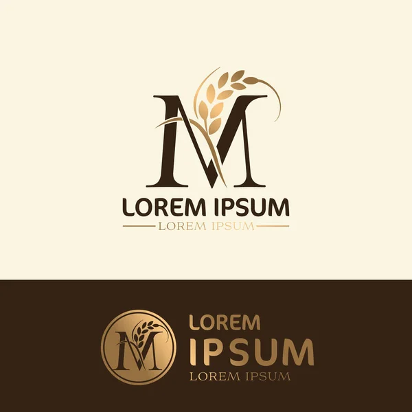 Letter Coffee Logo Icon Design Template Vector — Stock Photo, Image