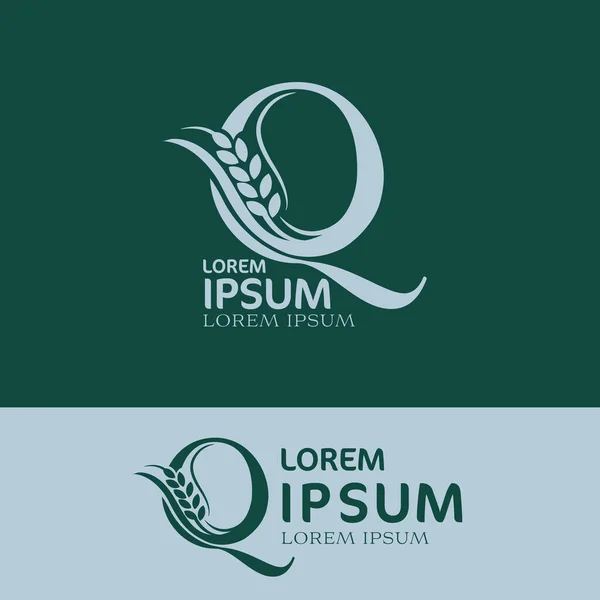 Шаблон Логотипа Зеленого Листа Икона Природы Листа — стоковое фото