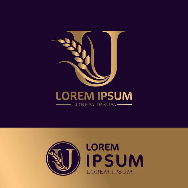 Золотой Дизайн Логотипа Класса Люкс Вектор — стоковое фото