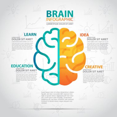 Yaratıcı elementlere sahip beyin.