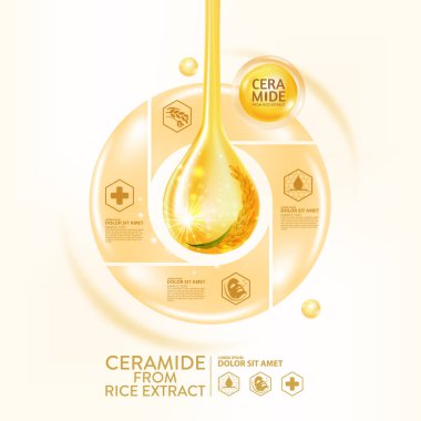 ceramide from rice extract serum Skin Care Cosmetic clipart