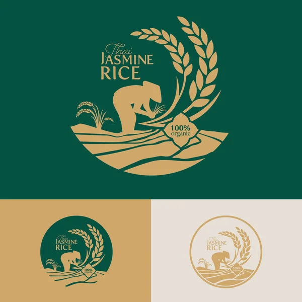 Paddy rice premium organik ürün logo taşıyıcı tasarımı