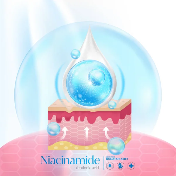 Niacinamide Niacin Nicotinnic Asit Serumu Cilt Bakımı Kozmetik Telifsiz Stok Vektörler