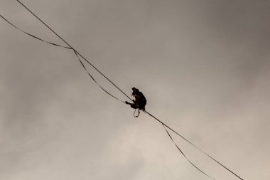 PAULO, BRAZIL - NOVEMBER 06, 20215th Virada Esportiva de So Paulo, dünyanın en büyük paten yarışı, birkaç ekstrem spor, Slackline ve Highline 'ın katılımıyla, 7 yıldan fazla bir süre sonra başkente geri dönüyor.. 